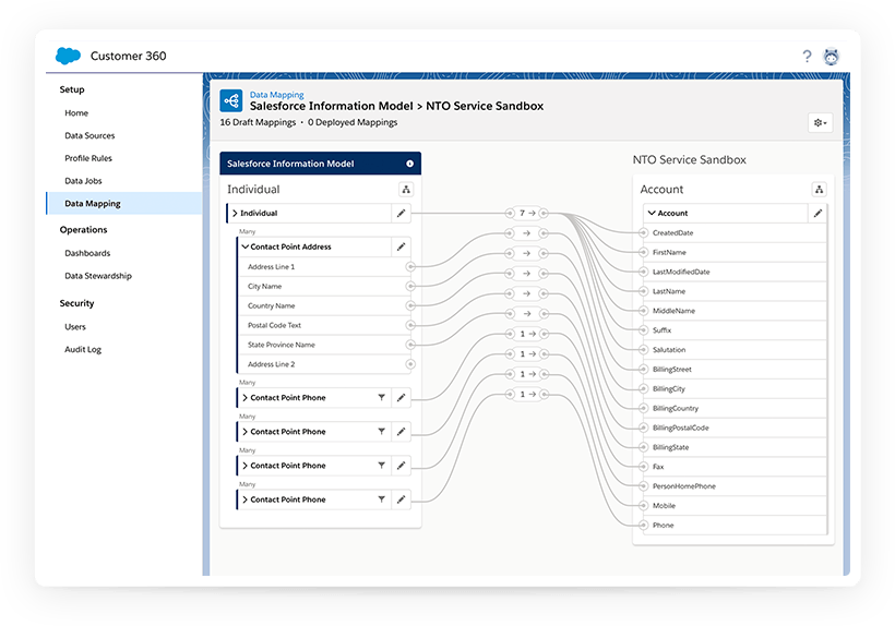 Salesforce Customer 360 Data Manager